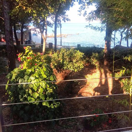 Apartmani "Ostro" Crikvenica クラリェヴィツァ エクステリア 写真