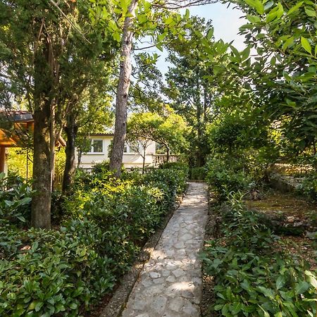 Apartmani "Ostro" Crikvenica クラリェヴィツァ エクステリア 写真