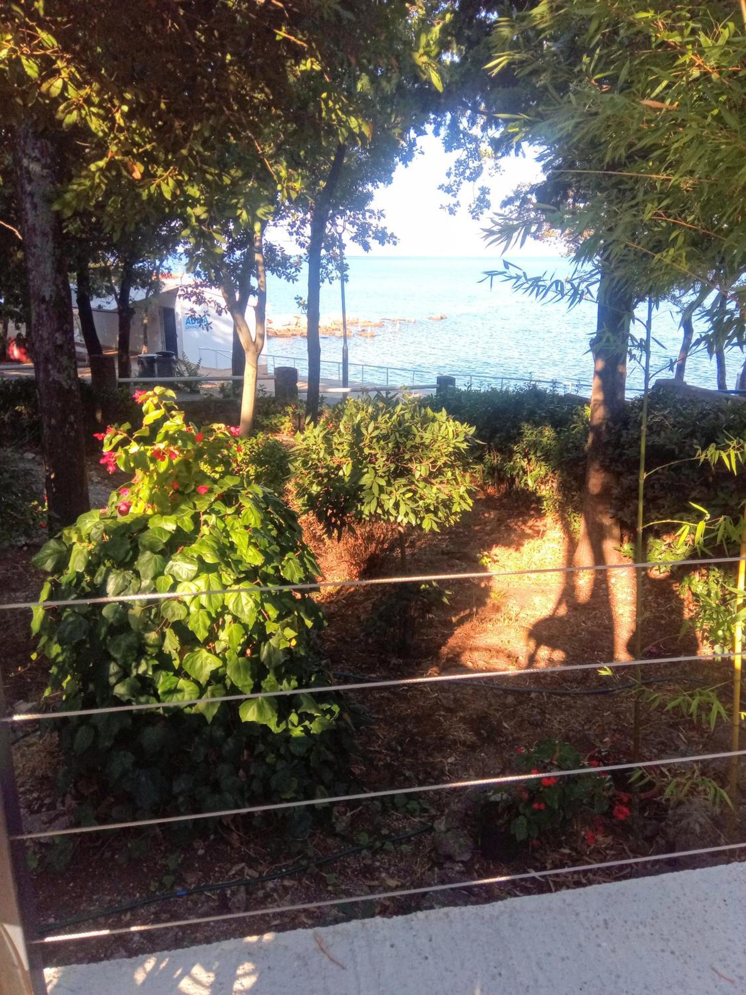 Apartmani "Ostro" Crikvenica クラリェヴィツァ エクステリア 写真